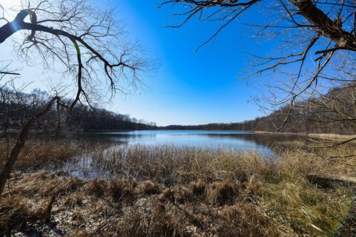 Asylum Lake Preserve